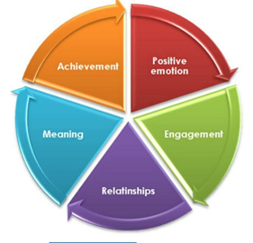 Positive Psychology – Paawni Goyal
